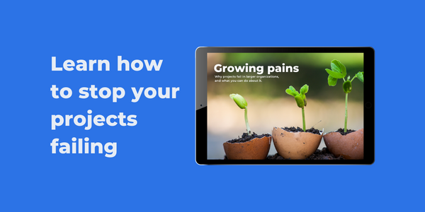 Stop projects failing