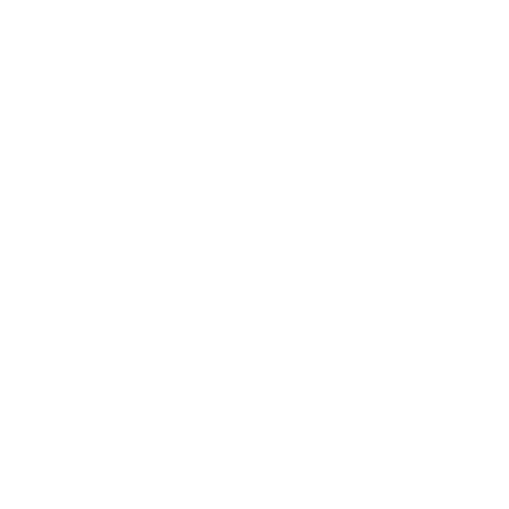 i-nexus-x-white